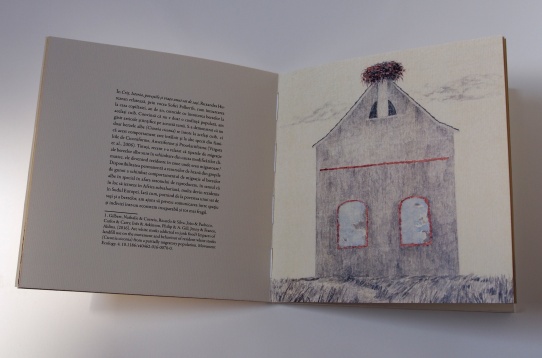 RALUCA ANGHEL // GRĂDINI INVIZIBILE | INTERSTIȚII