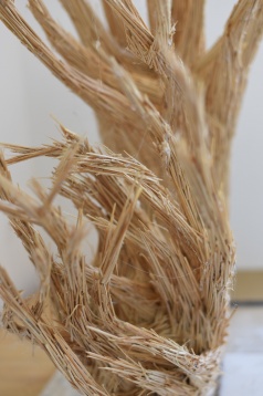 SMARANDA PÎRVAN POMPILIU // STRUCTURI ASCUNSE