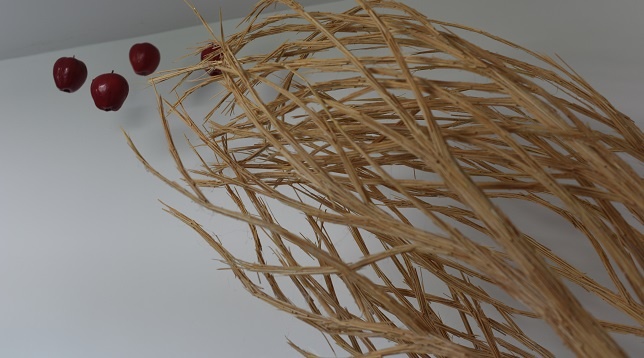 SMARANDA PÎRVAN POMPILIU // STRUCTURI ASCUNSE