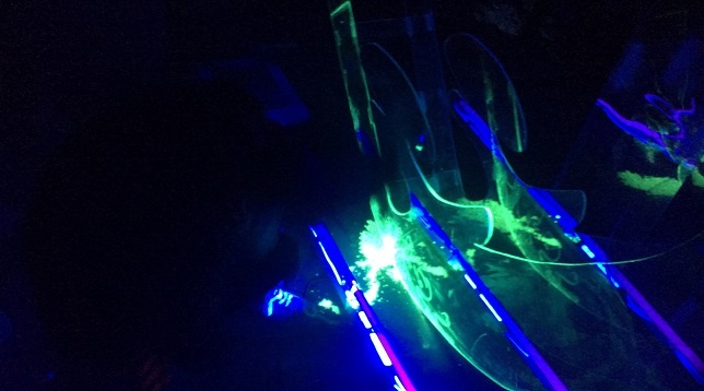 ȘTEFANIA DULHAC // REUNIT