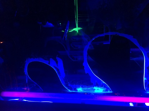 ȘTEFANIA DULHAC // REUNIT