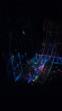 ȘTEFANIA DULHAC // REUNIT