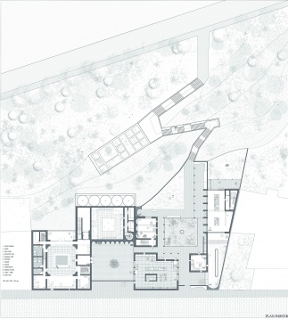 DANA DIANA BUICESCU // HAMAM | BĂI PUBLICE | CONSTANȚA - DIVERSITATE ETNICĂ, SPECIFICITATE CULTURALĂ 