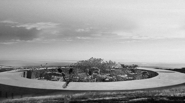 MARIUS ALIN COSMA // ȘCOALA DE PIETRARI - BĂDENI, BUZĂU, ROMÂNIA