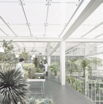 RADU MATEI // INCUBATOR PENTRU EDUCAȚIE