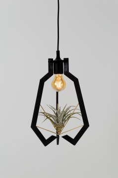 ALICE PRUSU // BLUME - DEZVOLTAREA EXPERIENȚELOR SENZORIALE ÎN LUMINA AMBIENTALĂ