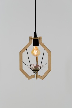 ALICE PRUSU // BLUME - DEZVOLTAREA EXPERIENȚELOR SENZORIALE ÎN LUMINA AMBIENTALĂ