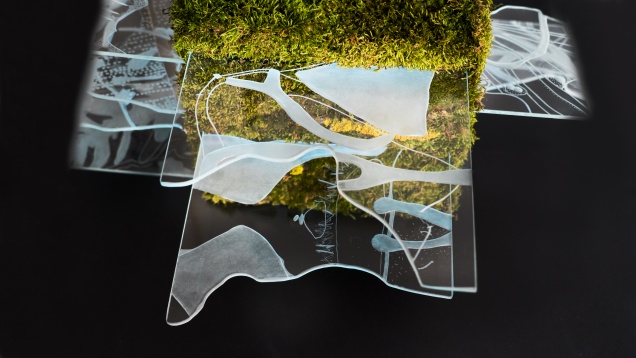 ANA MARIA MAIORU // LECȚIA DESPRE CUB