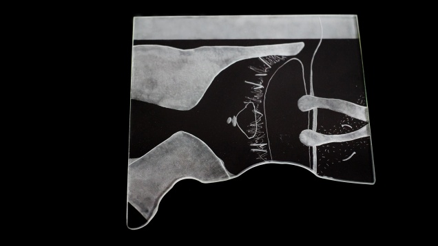 ANA MARIA MAIORU // LECȚIA DESPRE CUB