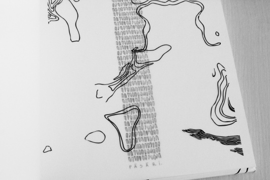  ANCA LUCHIȚ-DUMITRANA // PREFIGURĂRI ALE CUNOAȘTERII