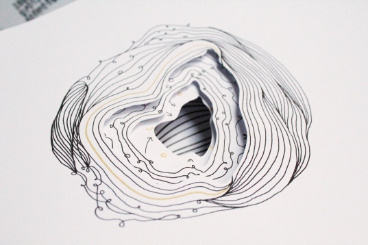  ANCA LUCHIȚ-DUMITRANA // PREFIGURĂRI ALE CUNOAȘTERII