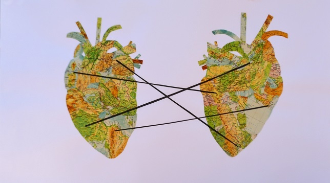 ANDREEA-LOZIOARA ZAMFIR // PUNCTELE B+