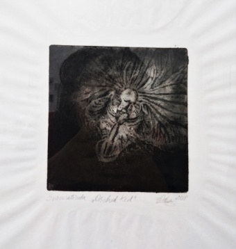 ANDREEA-MARINA TOFOLEANU // MIMOSAPSEUDOPUDICA / FLORILEGIUM