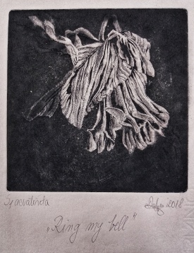 ANDREEA-MARINA TOFOLEANU // MIMOSAPSEUDOPUDICA / FLORILEGIUM