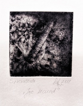 ANDREEA-MARINA TOFOLEANU // MIMOSAPSEUDOPUDICA / FLORILEGIUM