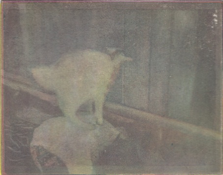 ANDREEA MIHALKA // STRATURI DE IDENTITATE