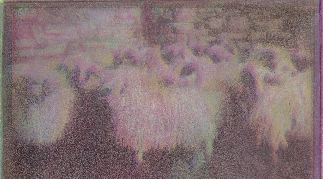 ANDREEA MIHALKA // STRATURI DE IDENTITATE