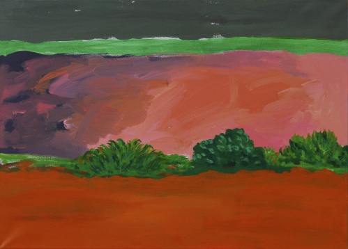 ANDREEA RALUCA TĂNASE // PEISAJ RECONFIGURAT