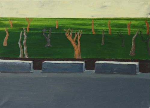 ANDREEA RALUCA TĂNASE // PEISAJ RECONFIGURAT