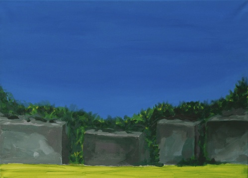 ANDREEA RALUCA TĂNASE // PEISAJ RECONFIGURAT