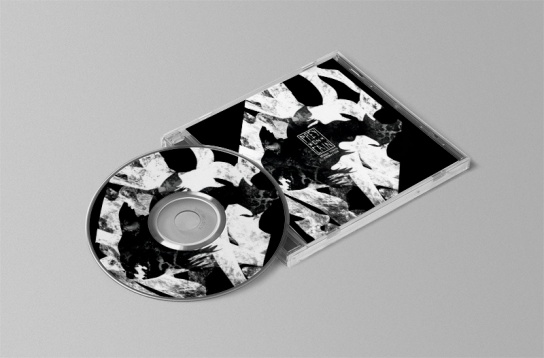 CRISTIAN ION // PREY ON CAIN, ANIMAȚIE