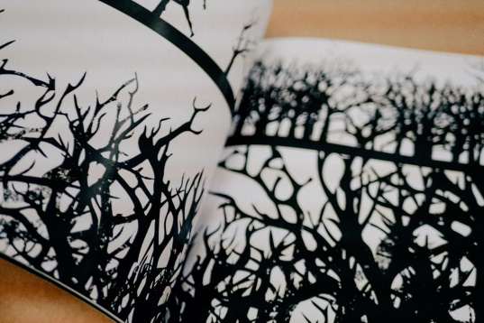 CRISTIAN ION // PREY ON CAIN, ANIMAȚIE