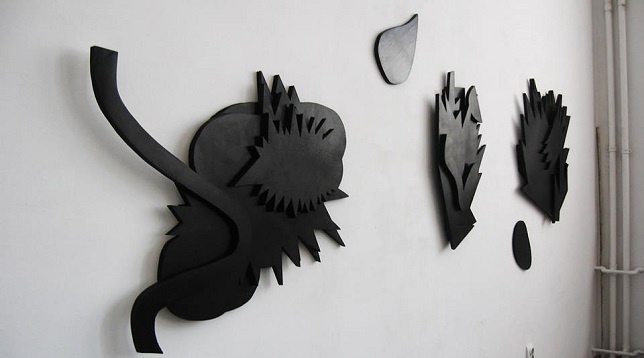 FLORIAN IONESCU // FORMA LUMINII 