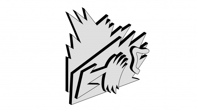 FLORIAN IONESCU // FORMA LUMINII 