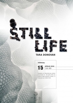 LAURA-MIHAELA BALLA // IDENTITATEA VIZUALĂ