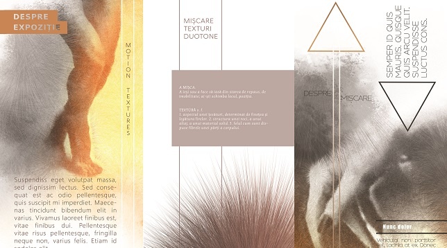 LAURA-MIHAELA BALLA // IDENTITATEA VIZUALĂ