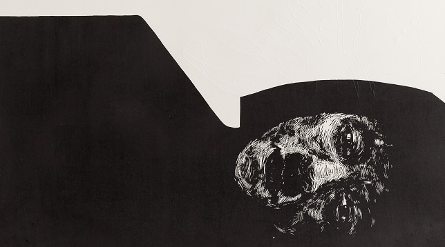 LAURA TRĂILĂ // PILOT AUTOMAT