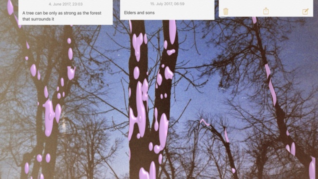 MĂDĂLINA GÂRBEA // JOURNAL OF THE IMAGERY THOUGHTS