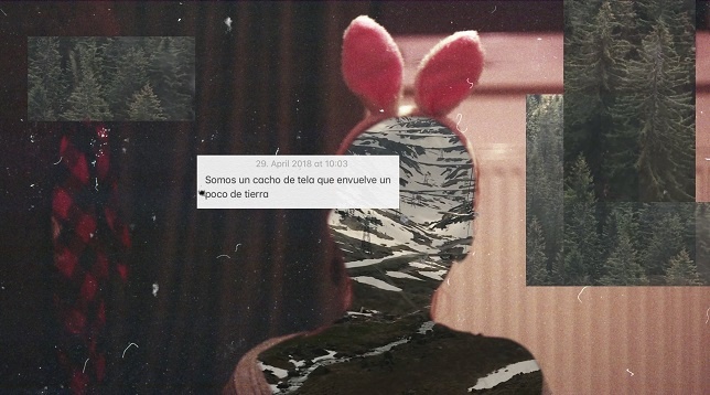 MĂDĂLINA GÂRBEA // JOURNAL OF THE IMAGERY THOUGHTS