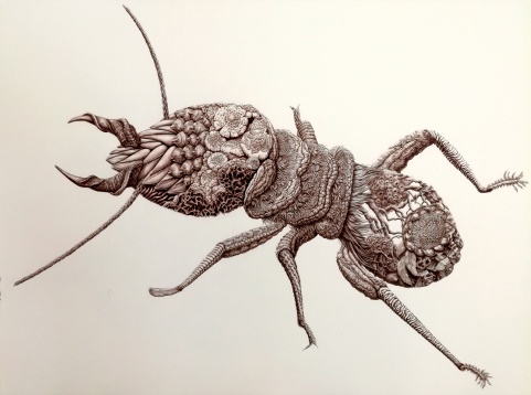 OTTILIA PFEIL // BIOMES(S). UNITATE ÎN DIVERSITATE