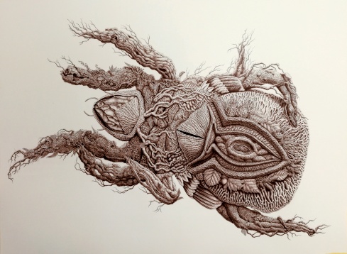 OTTILIA PFEIL // BIOMES(S). UNITATE ÎN DIVERSITATE