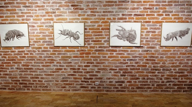 OTTILIA PFEIL // BIOMES(S). UNITATE ÎN DIVERSITATE