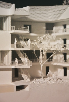 ASAN YASMIN // FERMA DIDACTICĂ DE HORTICULTURĂ ȘI ACVACULTURĂ. REÎNTREGIREA MOȘIEI MARGHILOMAN DIN HAGIEȘTI, IALOMIȚA