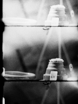 Cea de-a treisprezecea ediție eXplore festival începe la București