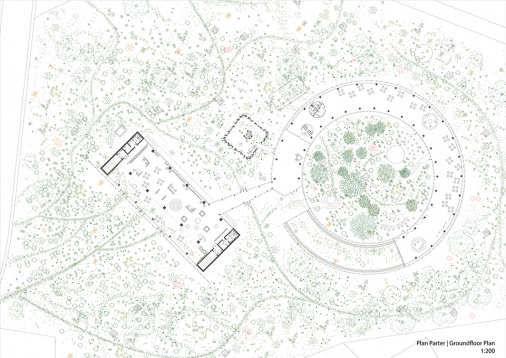 PATRICIA MARIA SAVU // AMBASADA PARCURILOR NATURALE