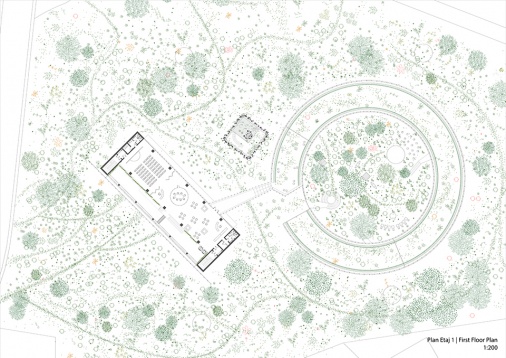 PATRICIA MARIA SAVU // AMBASADA PARCURILOR NATURALE