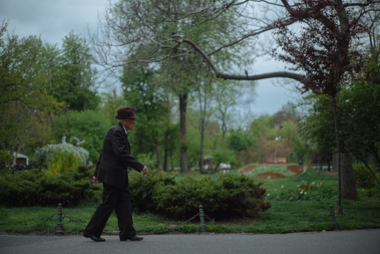 Zoom in #1 Ştirbei Vodă - Grădina Cişmigiu – General Berthelot