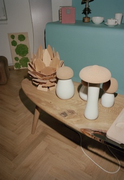 Zoom in #1 Ştirbei Vodă - Grădina Cişmigiu – General Berthelot