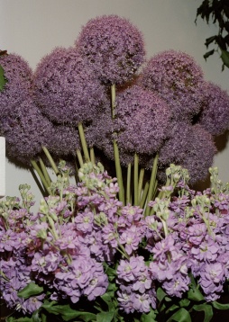 Un profil de business, vă rog: Florăria Iris