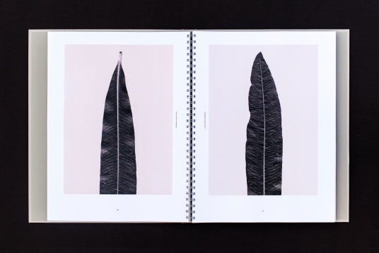 8 proiecte DIPLOMA și RDW în finala Cele mai frumoase cărți din România