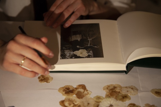 8 proiecte DIPLOMA și RDW în finala Cele mai frumoase cărți din România