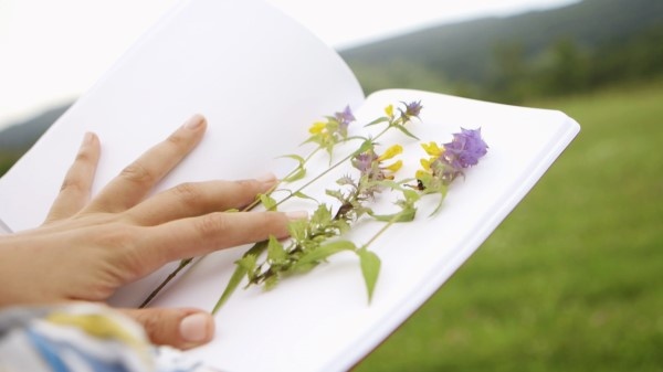 Kraftmaking the future -  Fibre și plante din habitatul transilvănean