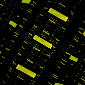 Peste 40 de proiecte de VR, AR şi instalaţii digitale @Internetics Interactive Expo