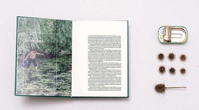 INTERNETICS INTERACTIVE EXPO // RADU CIORNICIUC