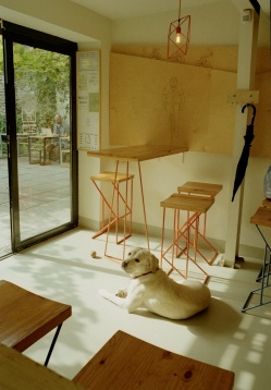 La pas prin cartier: Atelier Pinion, un loc pentru biciclete fericite și oameni relaxați… sau invers