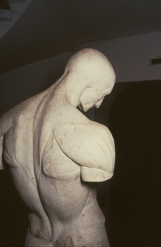 UNARTE – Art School Confidential